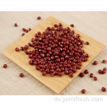 Red Bean gesund